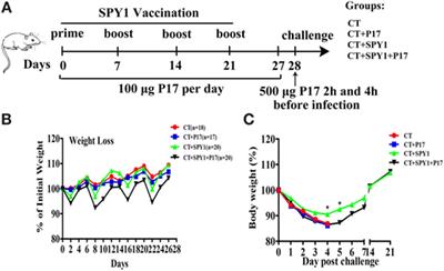 Protective Regulatory T Cell Immune Response Induced by Intranasal Immunization With the Live-Attenuated <mark class="highlighted">Pneumococcal Vaccine</mark> SPY1 via the Transforming Growth Factor-β1-Smad2/3 Pathway